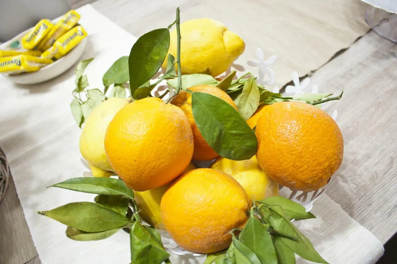 B&B D'Orleans Palermo 0*,